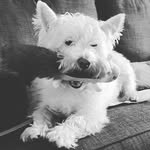 Bob Cleary - @bibitty_bob14 - Instagram