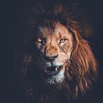 Bob Clement - @bobclemnt - Instagram