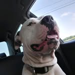 Bob Clinton - @bighungry000 - Instagram