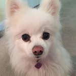 Bob Cloud - @bcloud58 - Instagram