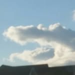 Bob the alligator cloud - @alligatorcloud - Instagram