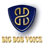 bob Colwell - @bigbobvoice - Instagram