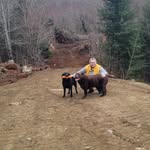 Bob Comeau - @bcomeau73 - Instagram