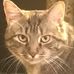 Bob Comeau - Facebook
