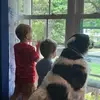 bobcomeau - @bob.comeau2 - TikTok