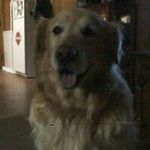 Bob Compton - @bob.compton - Instagram