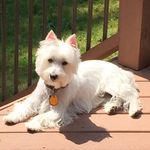 Bob Compton - @compton5667 - Instagram