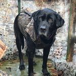 Robert Bob Compton - @robertbobcompton - Instagram