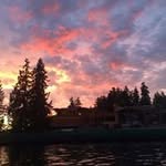 Bob Cone - @bob_cone - Instagram
