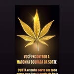 @bobcone_4i20 - Instagram