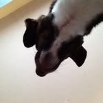 Bob Conlon - @bobconlon - Instagram