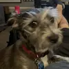 Bob Conlon - @bob.conlon - TikTok