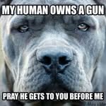 Bob Conrad - @bobconrad01 - Instagram