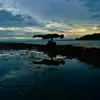 Bobby Copeland - @bcope_calisthenics_ - TikTok