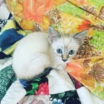 Bobbie and Bruce Cordes - @b_and_b_cordes - Instagram