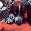 Bob Costello - @bobthedog47 - TikTok