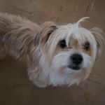 Bob wikit crandall - @bobwikit - Instagram