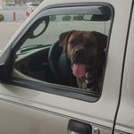 Bob Creed - @bobcreed3 - Instagram