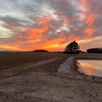 Bob Crist - Facebook