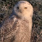 Bob Crist - @bobtech229 - Instagram