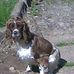 Robert Crockett - Facebook