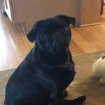 Robert cronkright - @bobcronk3 - Instagram