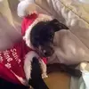 bobculver0 - @bobculver0 - TikTok