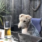 Bob Currie - @robert.raffles.5 - Instagram