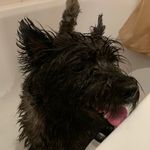 @bob_daggoe - Instagram