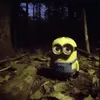 BOB.DAILY - @shewant._syn - TikTok