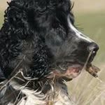 Bob Daly - @dalybob - Instagram