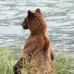 Bob Deck - @bob.deck - Instagram