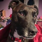 Bob Deck - @deckbob - Instagram