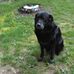 Bob Deptula - Facebook