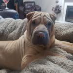 Rob Derbyshire - @rderby3833 - Instagram