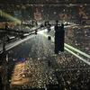 Bob - @bobdevine.18479 - TikTok