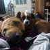 Bob Dewitt - Facebook