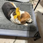 Bob Dockery - @reddoc62 - Instagram
