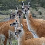 Bob Dodds - @dodds_bob - Instagram