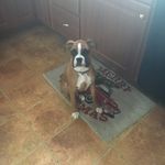Bob Donahue - @bfd2404 - Instagram