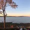 Bob Donahue - @bob.donahue1 - TikTok