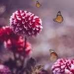Bob Donnell - @bob_donnell67 - Instagram