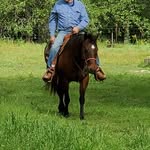 Bob Dorsett - @bobdorsett47 - Instagram