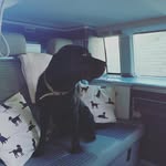 bob down - @vw_glamping - Instagram