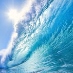 Bob Down - @bobdown420 - Instagram