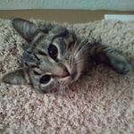 bob drew - @bobdrew5026 - Instagram