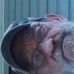Bob Duane - Facebook