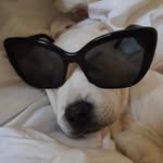 BOB DUFFO - @bob.duffo - Instagram