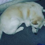 bobduffin03 - @bobduffin03 - Instagram