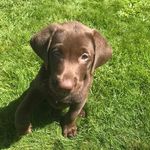Bob - @bobdupuis2020 - Instagram
